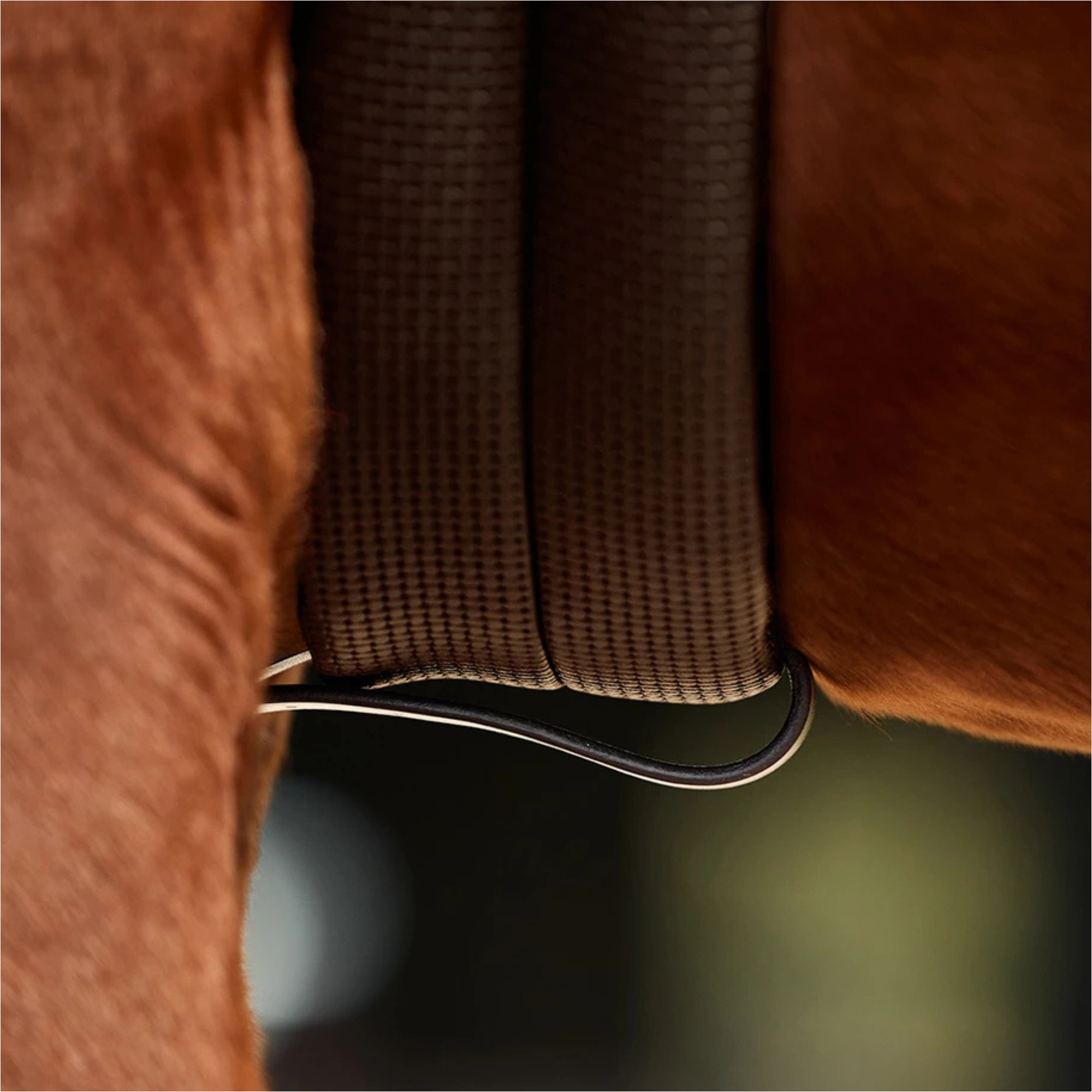 2026 Dublin 3-Point Breastplate 1031504 - Brown